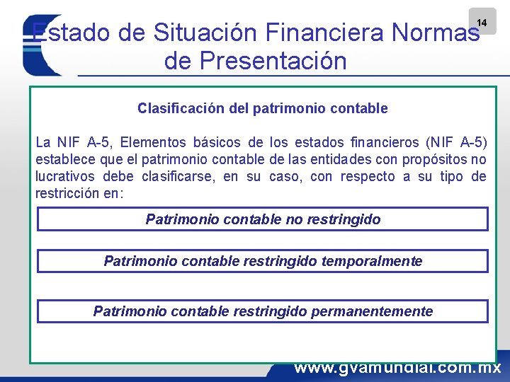 14 Estado de Situación Financiera Normas de Presentación Clasificación del patrimonio contable La NIF