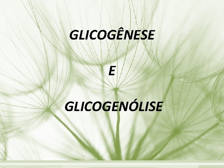 GLICOGÊNESE E GLICOGENÓLISE 