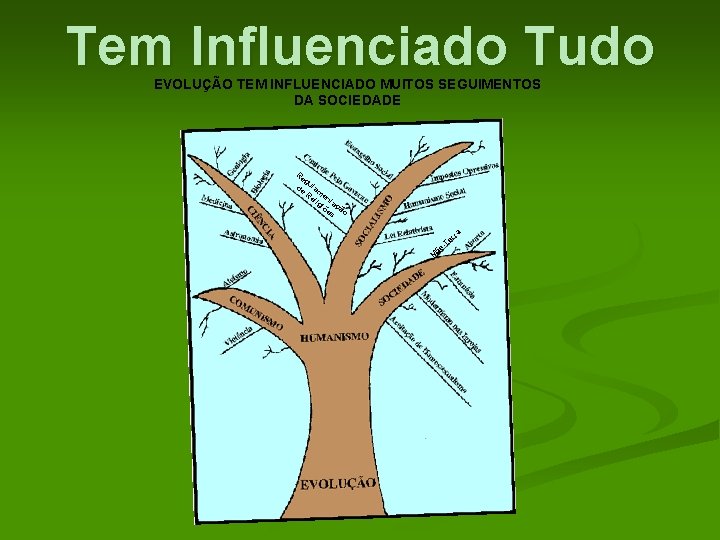 Tem Influenciado Tudo EVOLUÇÃO TEM INFLUENCIADO MUITOS SEGUIMENTOS DA SOCIEDADE Re g de ulam