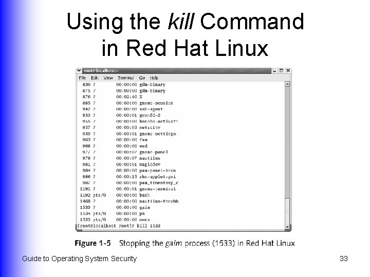 Using the kill Command in Red Hat Linux Guide to Operating System Security 33