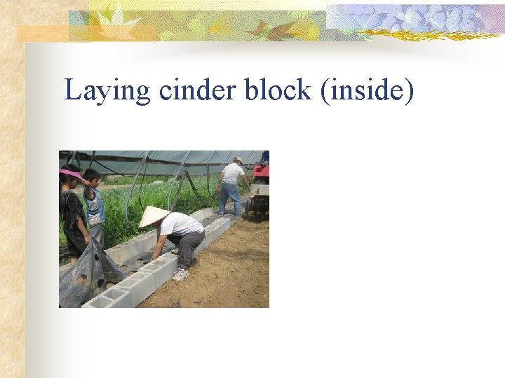 Laying cinder block (inside) 