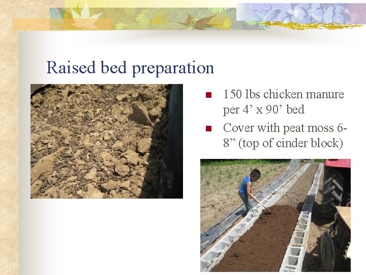 Raised bed preparation n n 150 lbs chicken manure per 4’ x 90’ bed