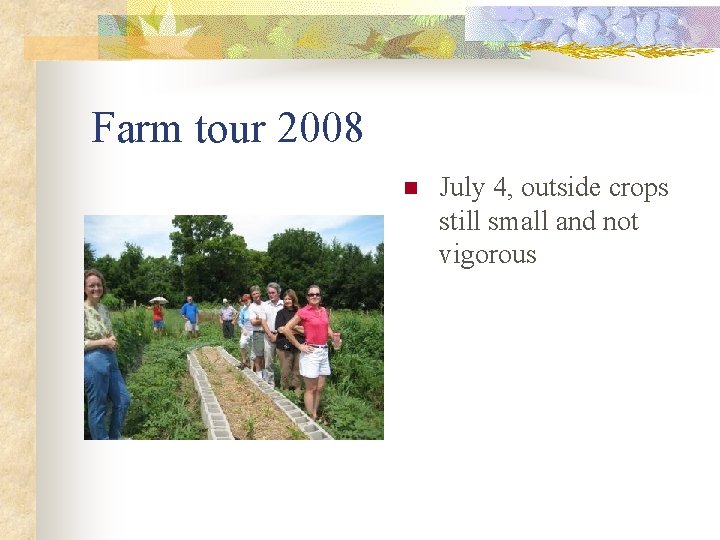 Farm tour 2008 n July 4, outside crops still small and not vigorous 