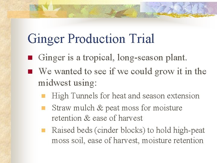 Ginger Production Trial n n Ginger is a tropical, long-season plant. We wanted to