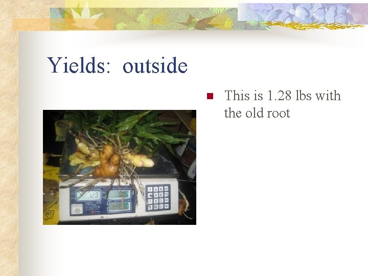 Yields: outside n This is 1. 28 lbs with the old root 