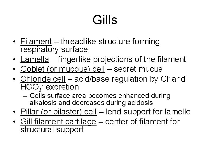 Gills • Filament – threadlike structure forming respiratory surface • Lamella – fingerlike projections