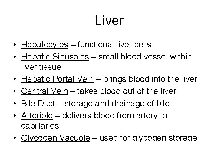 Liver • Hepatocytes – functional liver cells • Hepatic Sinusoids – small blood vessel