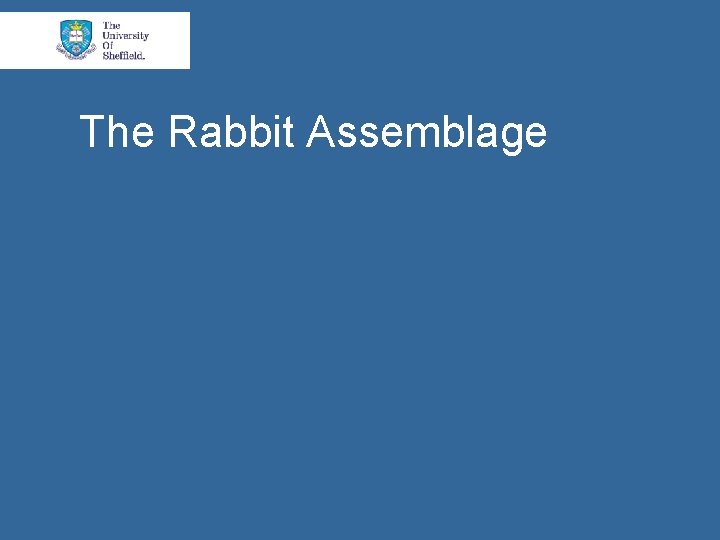 The Rabbit Assemblage 