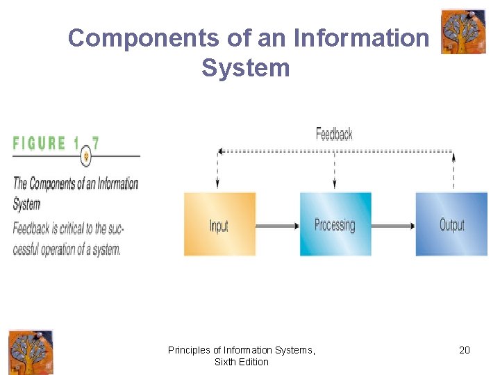 Components of an Information System Principles of Information Systems, Sixth Edition 20 