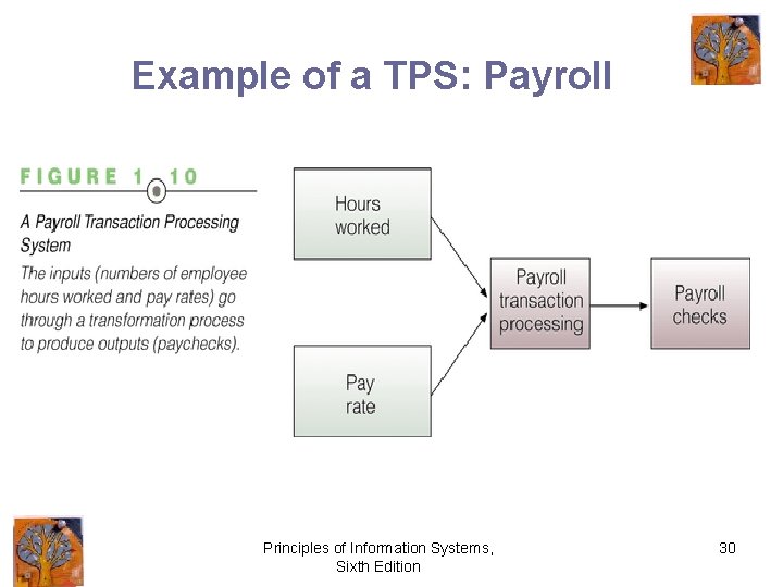 Example of a TPS: Payroll Principles of Information Systems, Sixth Edition 30 