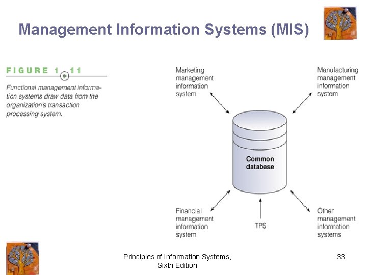 Management Information Systems (MIS) Principles of Information Systems, Sixth Edition 33 