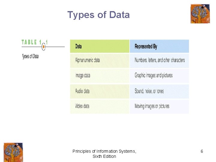 Types of Data Principles of Information Systems, Sixth Edition 6 