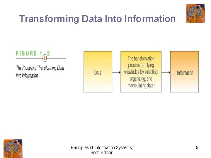 Transforming Data Into Information Principles of Information Systems, Sixth Edition 9 