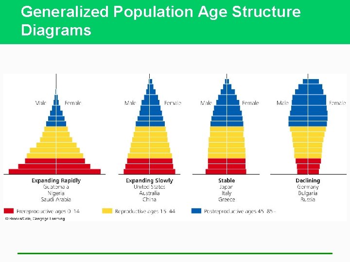 Generalized Population Age Structure Diagrams 