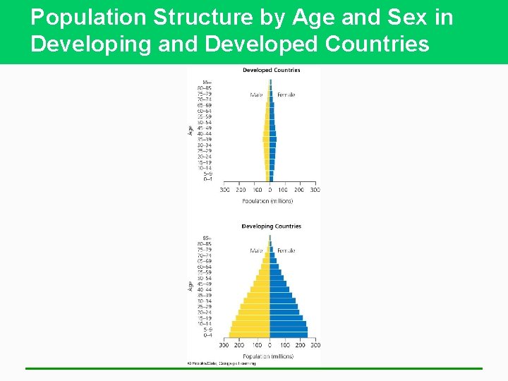 Population Structure by Age and Sex in Developing and Developed Countries 