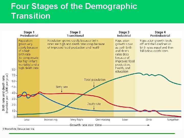 Four Stages of the Demographic Transition 