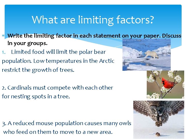 What are limiting factors? Write the limiting factor in each statement on your paper.