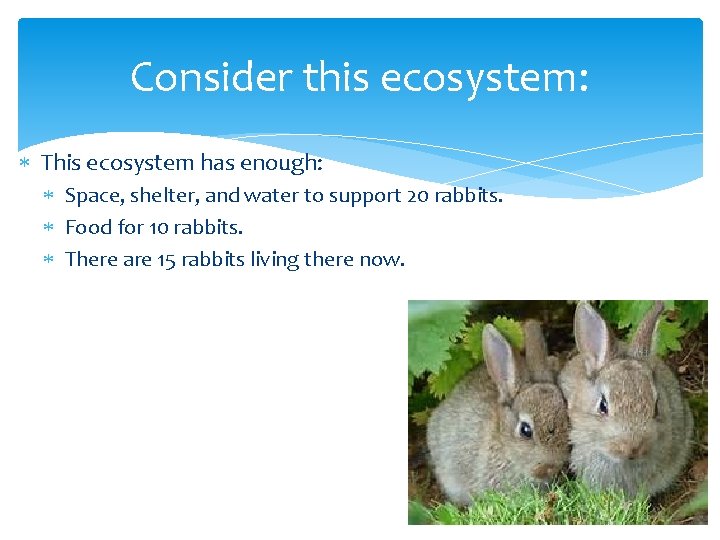 Consider this ecosystem: This ecosystem has enough: Space, shelter, and water to support 20