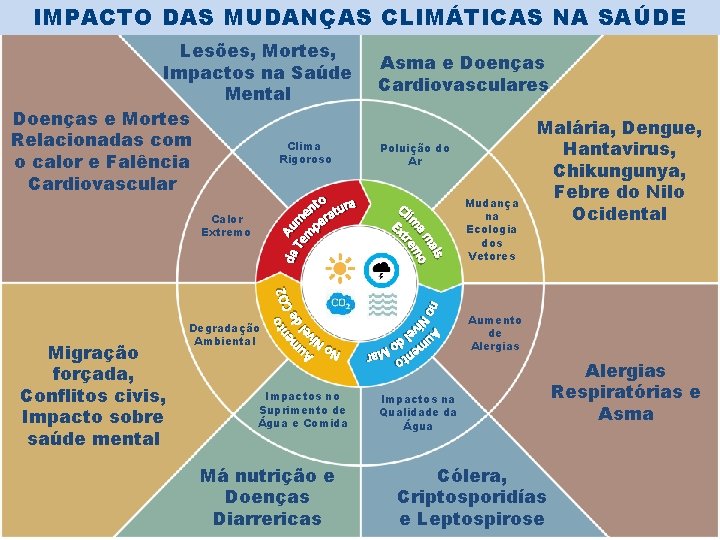 IMPACTO DAS MUDANÇAS CLIMÁTICAS NA SAÚDE Lesões, Mortes, Impactos na Saúde Mental Doenças e