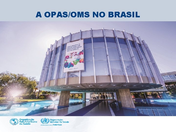 A OPAS/OMS NO BRASIL 36 