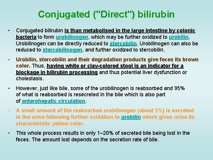Conjugated ("Direct") bilirubin • Conjugated bilirubin is than metabolised in the large intestine by