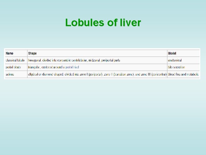 Lobules of liver 