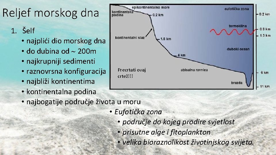 Reljef morskog dna 1. Šelf • najplići dio morskog dna • do dubina od Reljef morskog dna 1. Šelf • najplići dio morskog dna • do dubina od
