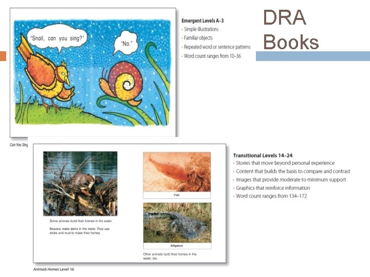 DRA Books 