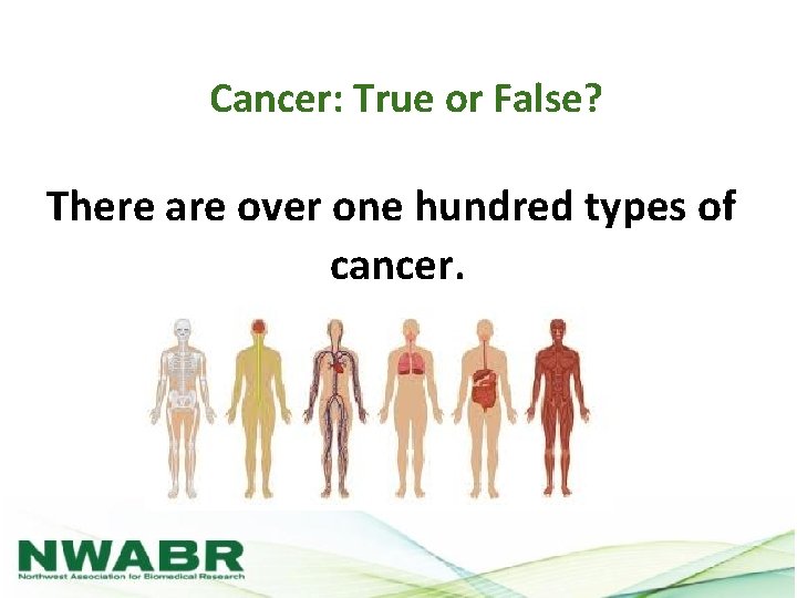 Cancer: True or False? There are over one hundred types of cancer. 