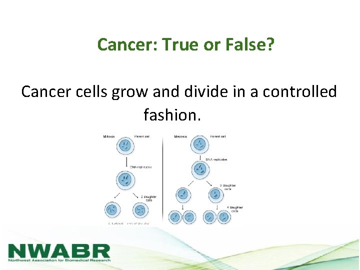 Cancer: True or False? Cancer cells grow and divide in a controlled fashion. 