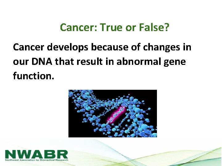 Cancer: True or False? Cancer develops because of changes in our DNA that result
