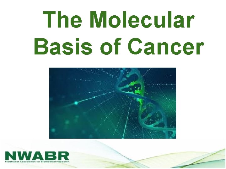 The Molecular Basis of Cancer 