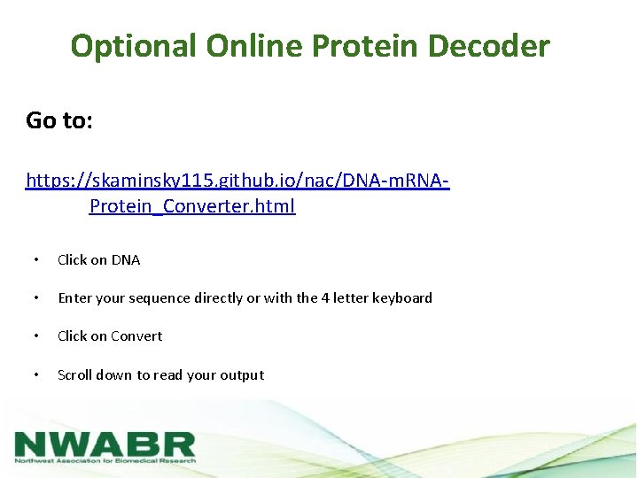 Optional Online Protein Decoder Go to: https: //skaminsky 115. github. io/nac/DNA-m. RNAProtein_Converter. html •