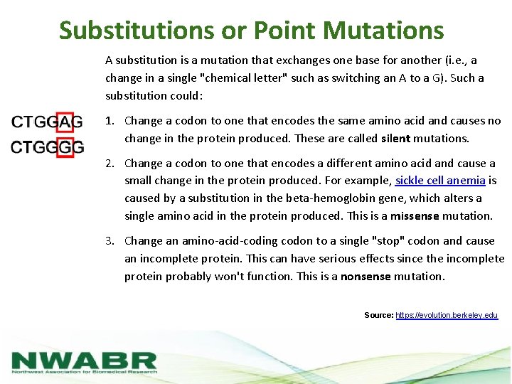Substitutions or Point Mutations A substitution is a mutation that exchanges one base for