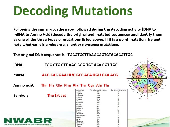 Decoding Mutations Following the same procedure you followed during the decoding activity (DNA to