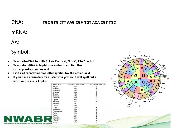 DNA: TGC GTG CTT AAG CGA TGT ACA CGT TGC m. RNA: AA: Symbol: