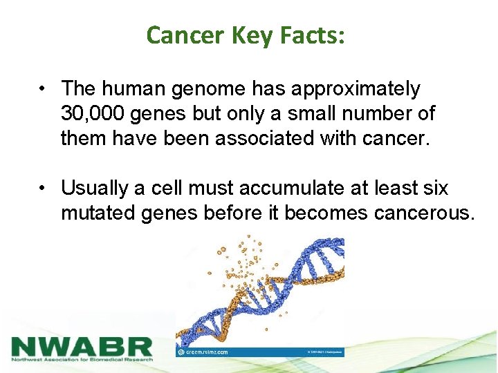 Cancer Key Facts: • The human genome has approximately 30, 000 genes but only