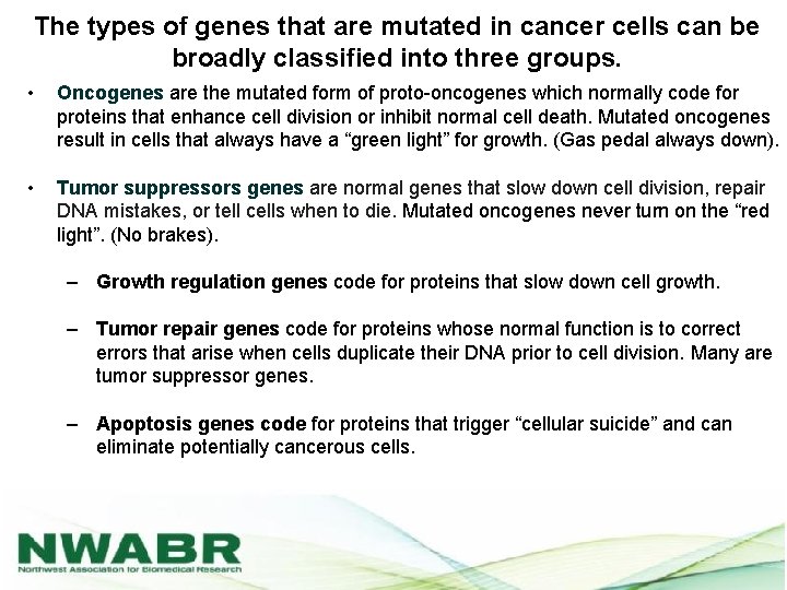 The types of genes that are mutated in cancer cells can be broadly classified