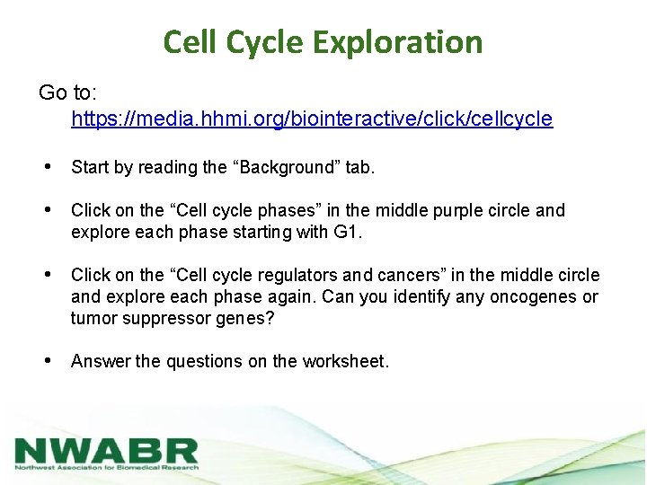 Cell Cycle Exploration Go to: https: //media. hhmi. org/biointeractive/click/cellcycle • Start by reading the