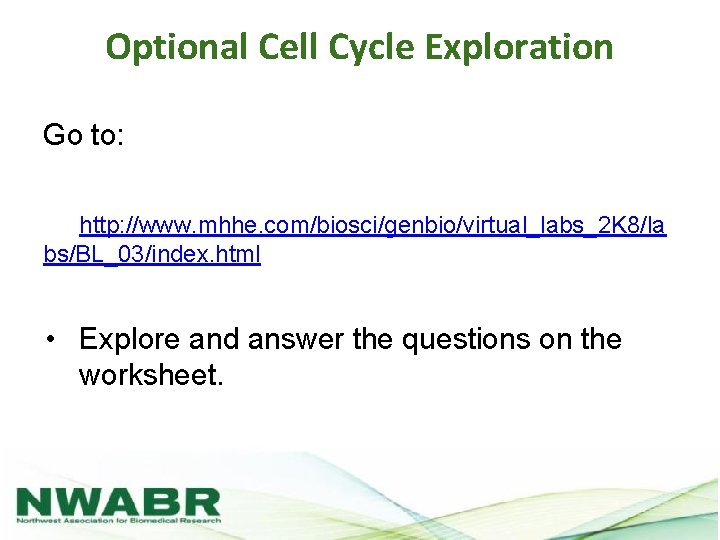 Optional Cell Cycle Exploration Go to: http: //www. mhhe. com/biosci/genbio/virtual_labs_2 K 8/la bs/BL_03/index. html