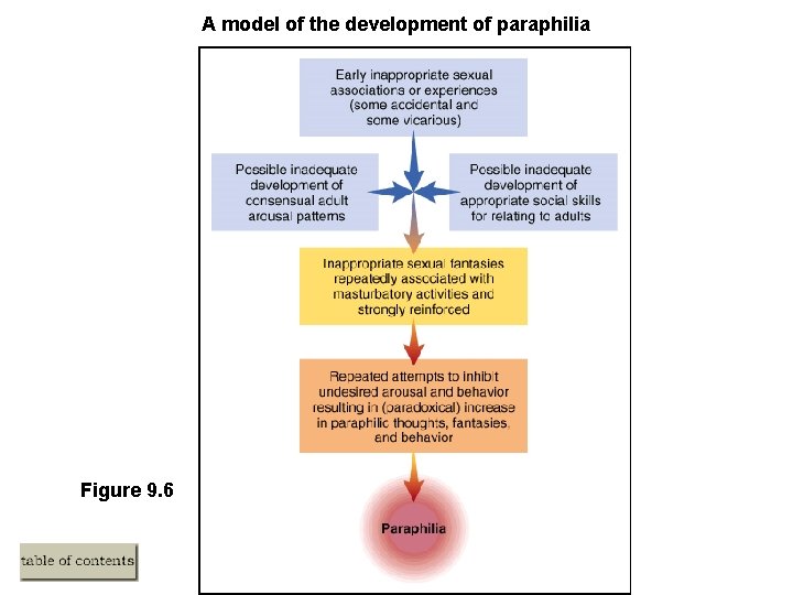A model of the development of paraphilia Figure 9. 6 
