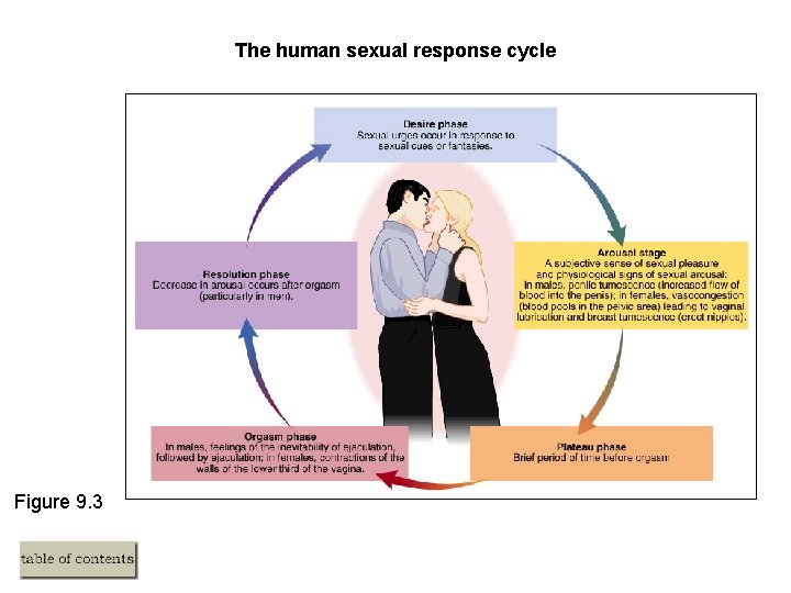 The human sexual response cycle Figure 9. 3 