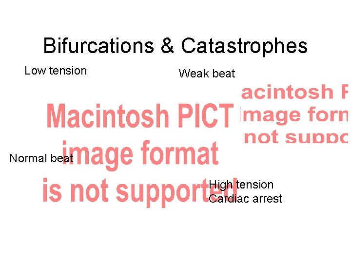 Bifurcations & Catastrophes Low tension Weak beat Normal beat High tension Cardiac arrest 