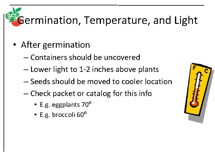 Germination, Temperature, and Light • After germination – Containers should be uncovered – Lower