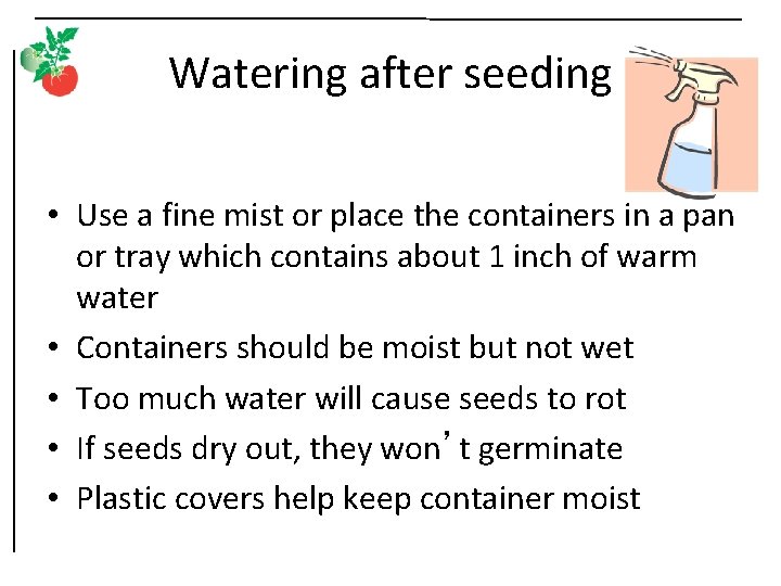 Watering after seeding • Use a fine mist or place the containers in a