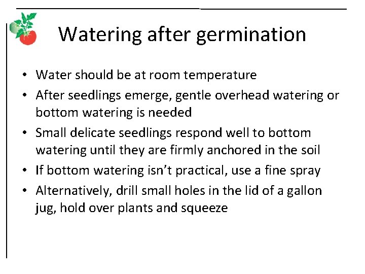 Watering after germination • Water should be at room temperature • After seedlings emerge,