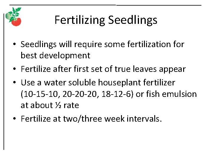 Fertilizing Seedlings • Seedlings will require some fertilization for best development • Fertilize after