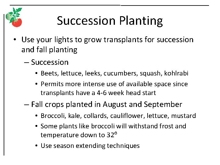 Succession Planting • Use your lights to grow transplants for succession and fall planting