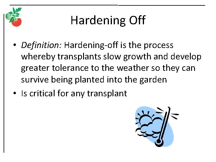 Hardening Off • Definition: Hardening-off is the process whereby transplants slow growth and develop