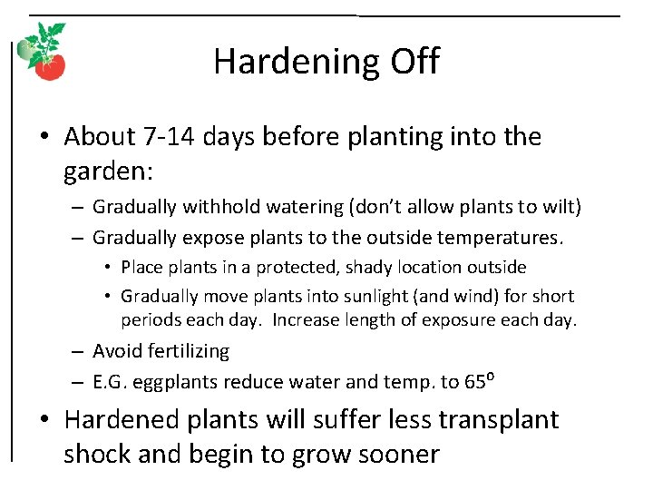 Hardening Off • About 7 -14 days before planting into the garden: – Gradually